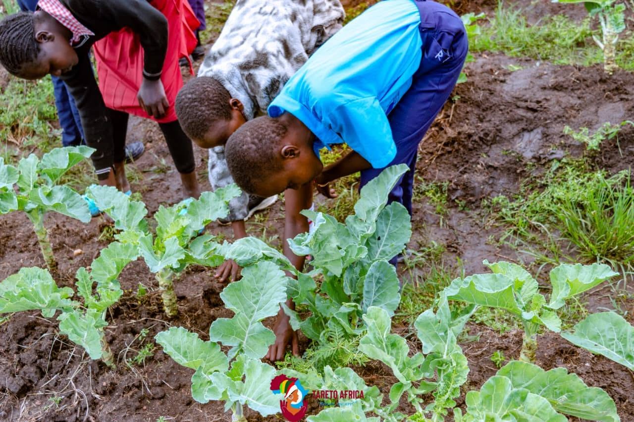 Cultivating Change in Rural Kenya using School Vegetable Gardens